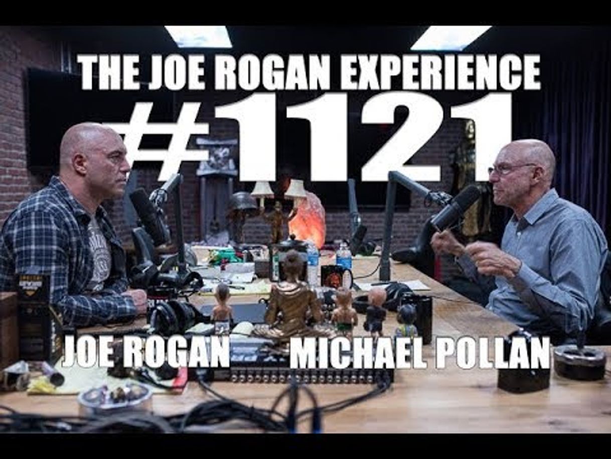 Moda Joe Rogan Experience #1121 - Michael Pollan - YouTube