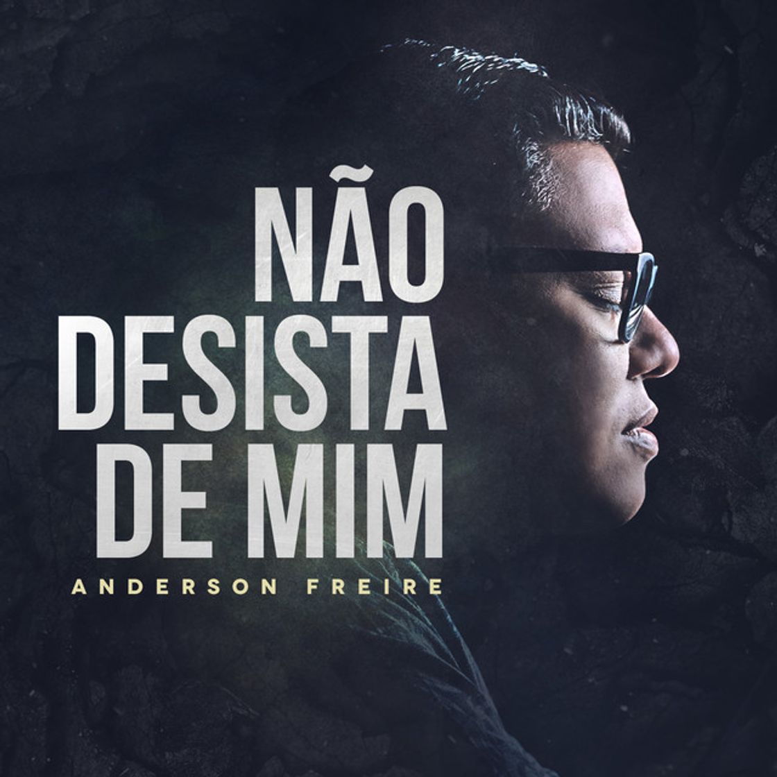 Canción Não Desista de Mim