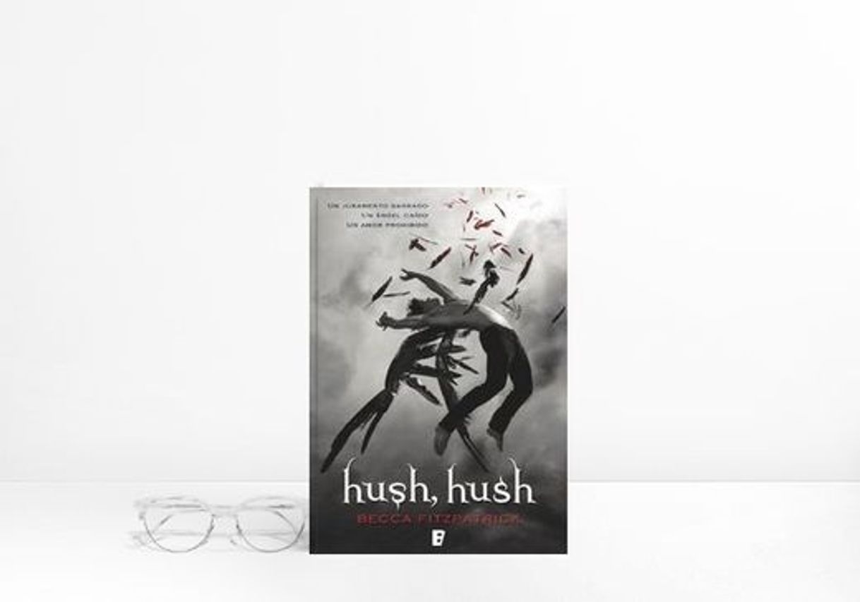 Book Hush, Hush: 1