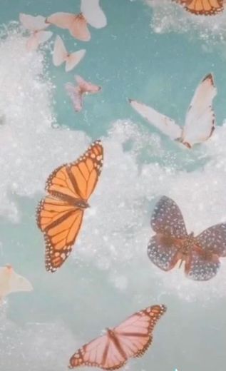 Wallpaper de borboleta 