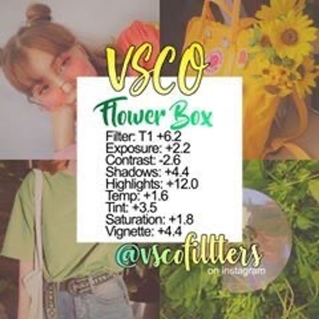 Social 🌻
