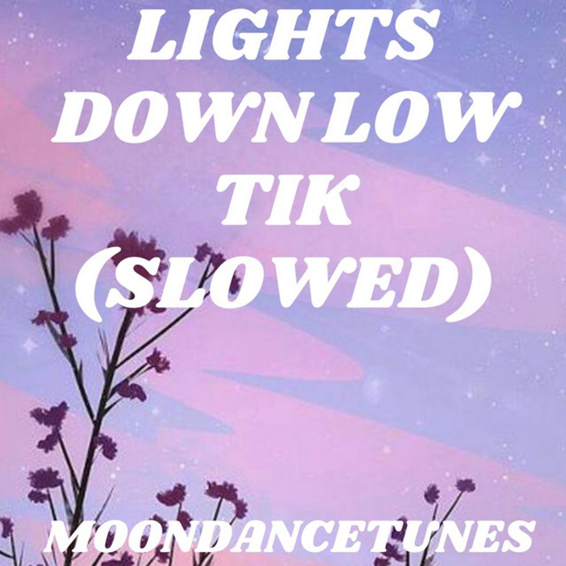 Music Lights Down Low Tik - Slowed