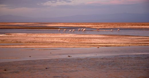 Salar de Atacama