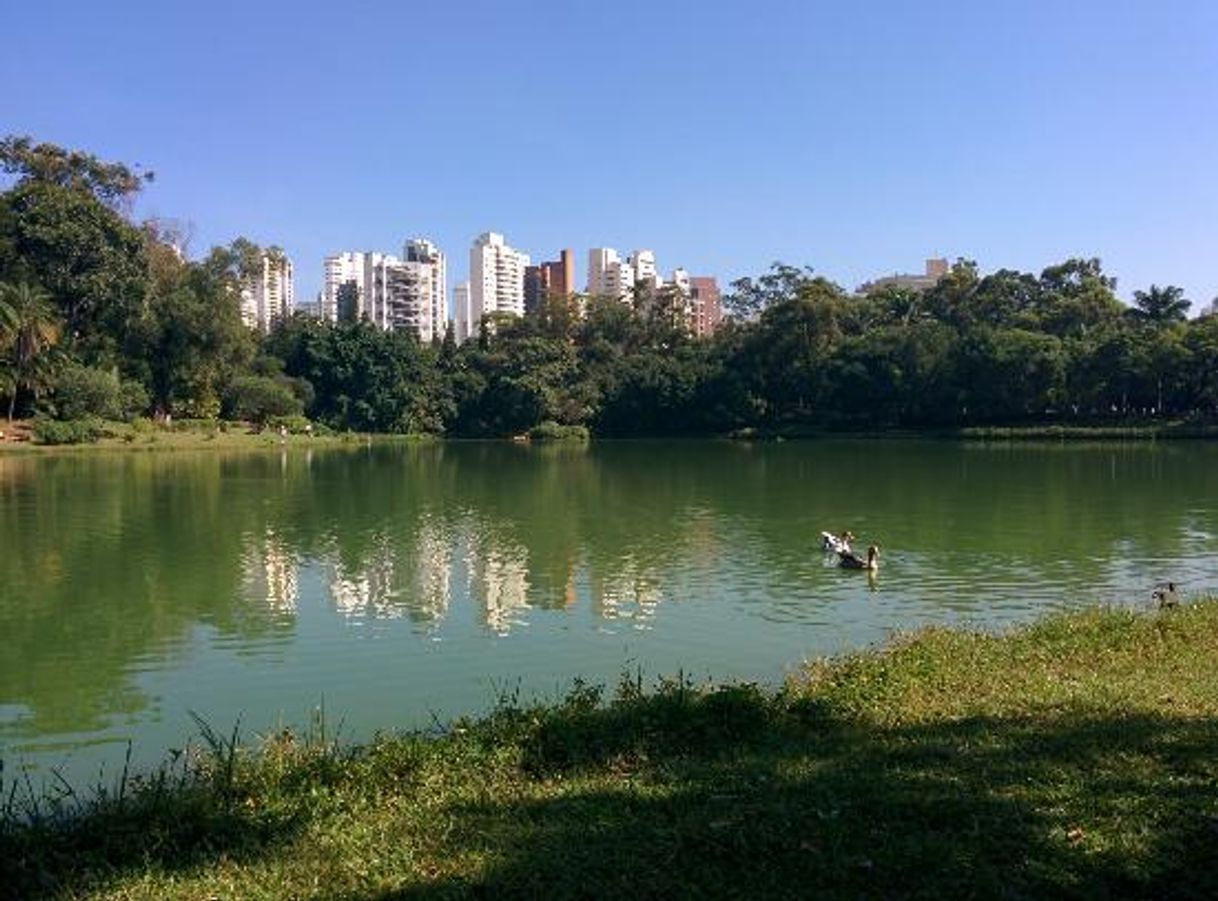 Lugar Parque Aclimação