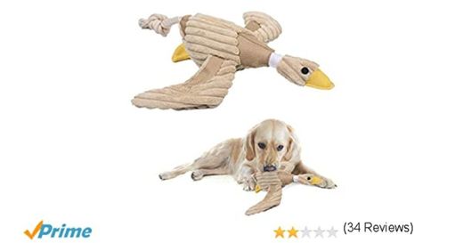 perros juguetes para perros perros juguetes interactivos: Amazon.es ...