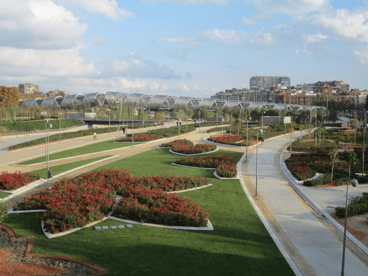 Place Parque Madrid Río