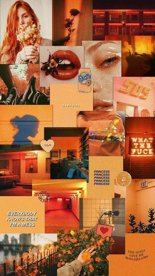 Fashion Wallpapers🍊