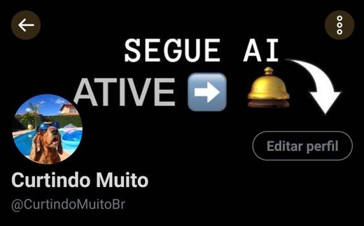 Curtindo Muito (@CurtindoMuitoBr) | Twitter