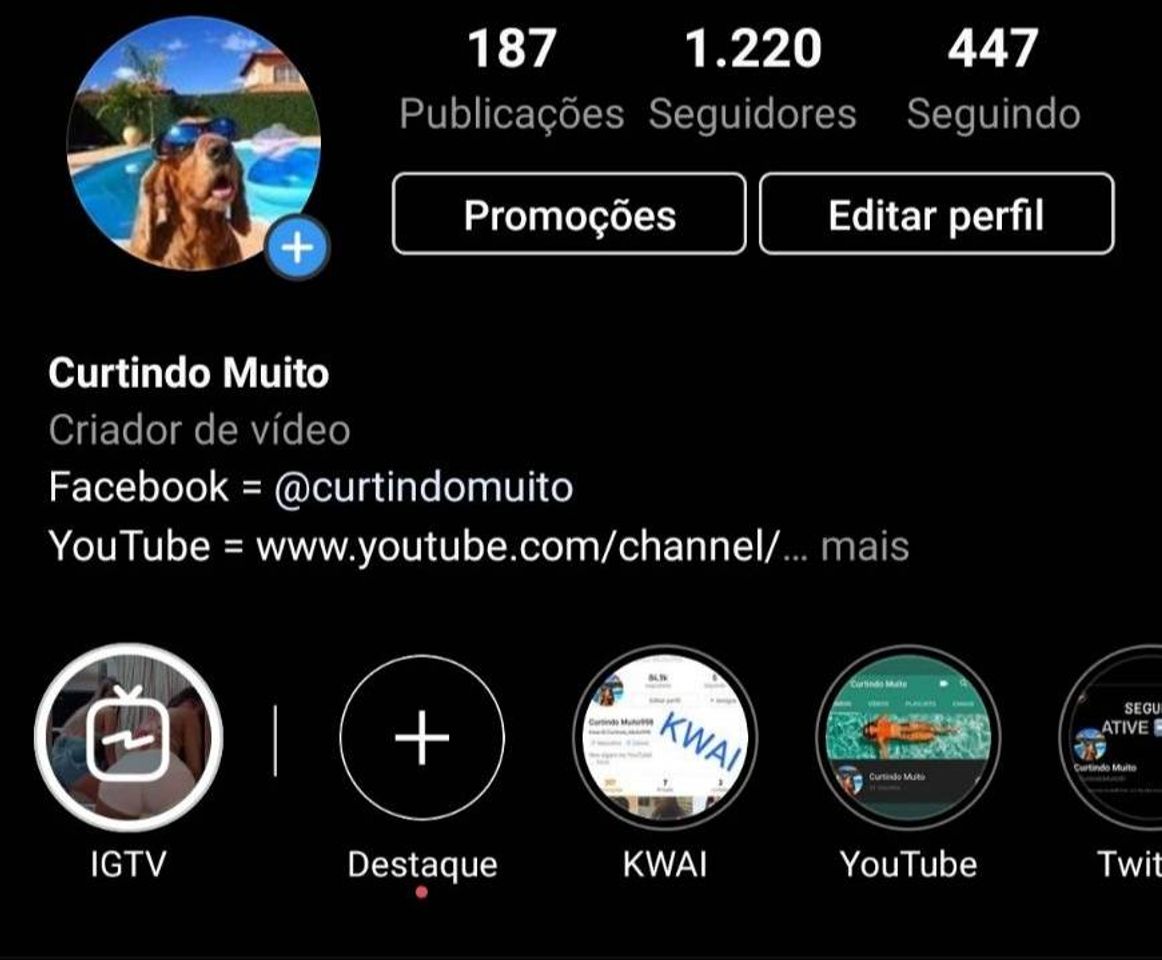 Curtindo Muito (@CurtindoMuitoBr) | Twitter