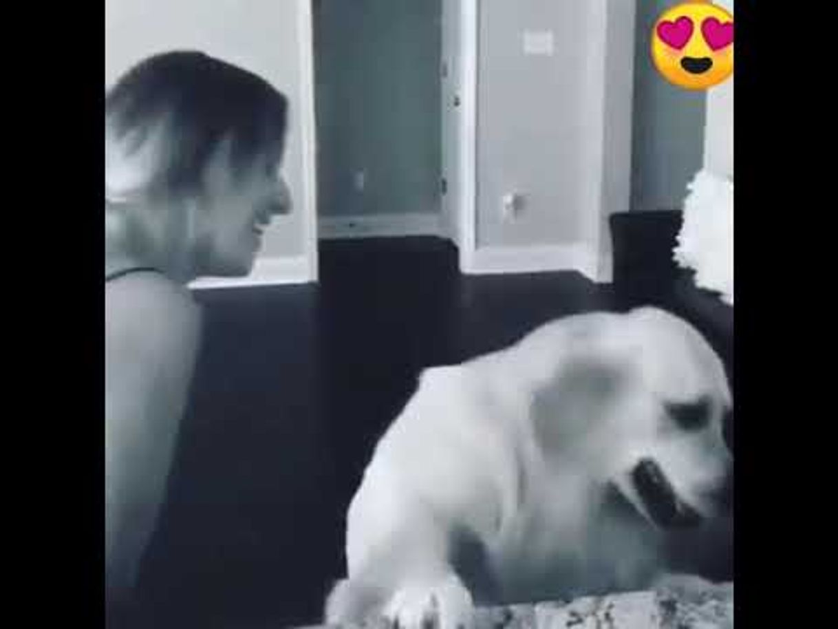 Do carinho dos animais a sorte numa pedreira. - YouTube