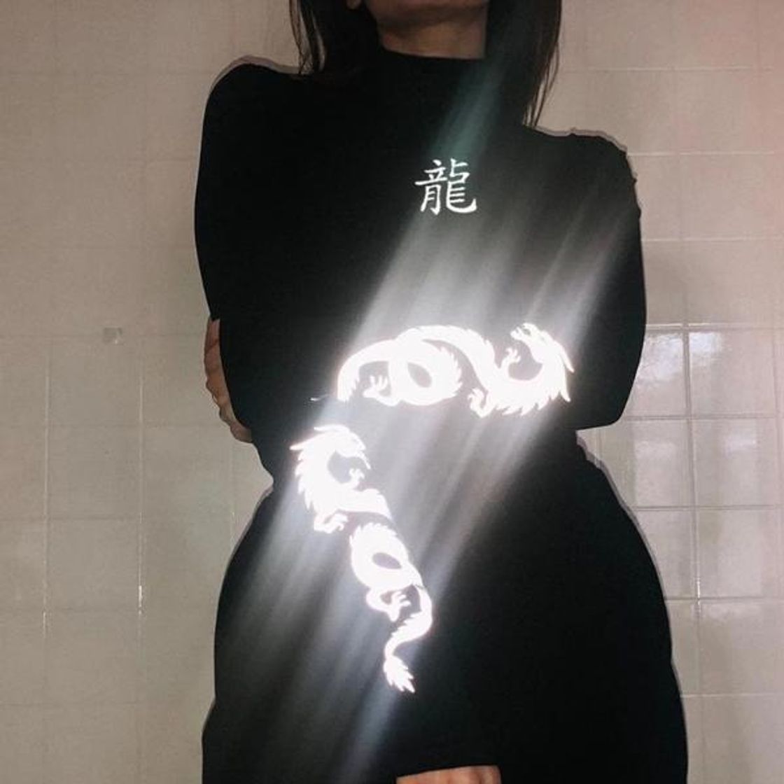 Social Reflective Dragon Print Long Sleeve – LILI BIACHI | Independent ...