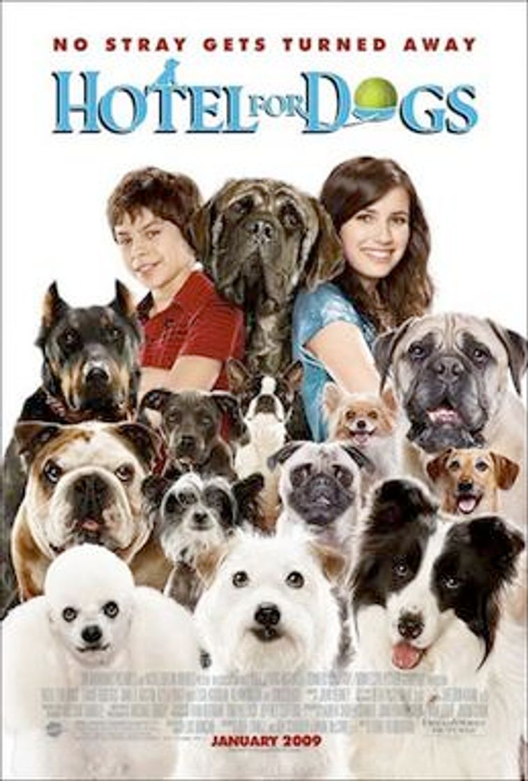 Movie Hotel para perros