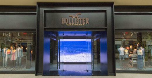 Hollister Co.