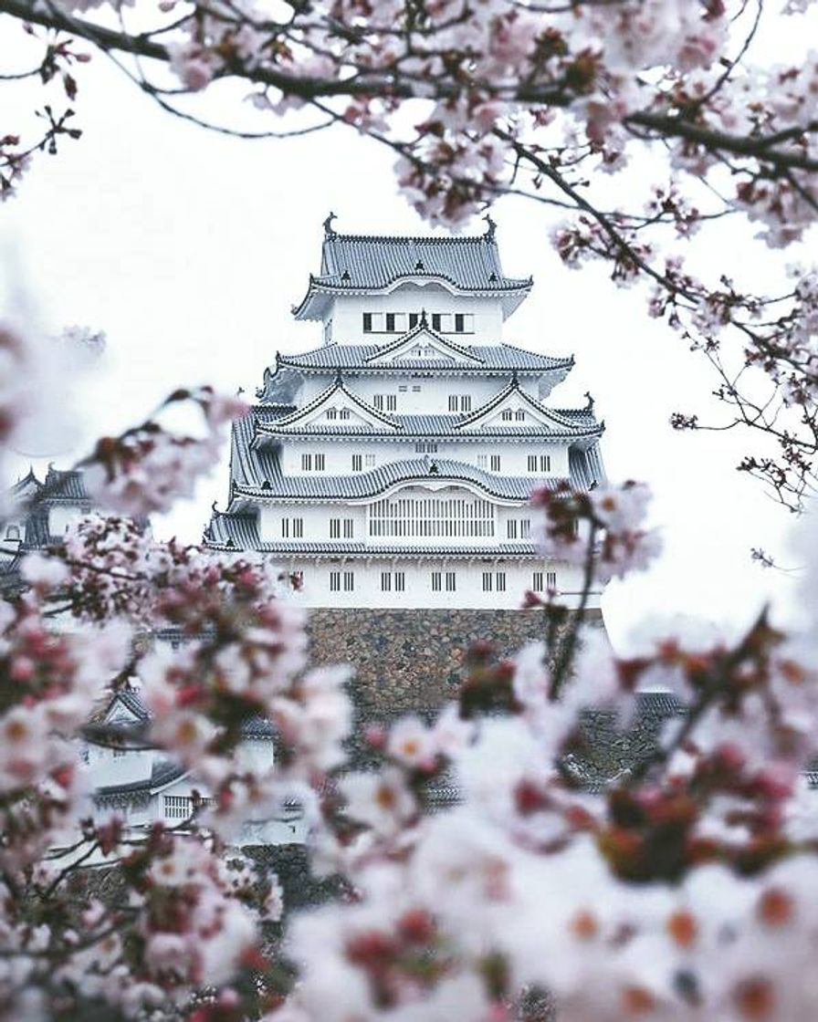 Lugar Japón