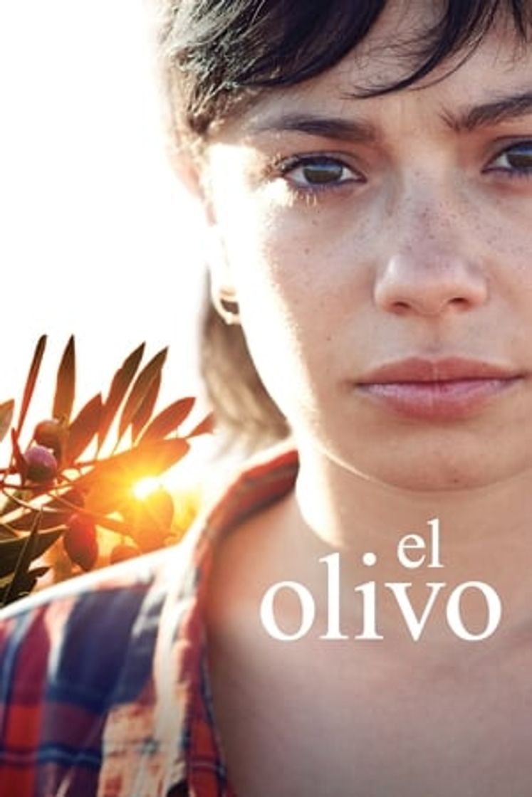 Movie El Olivo
