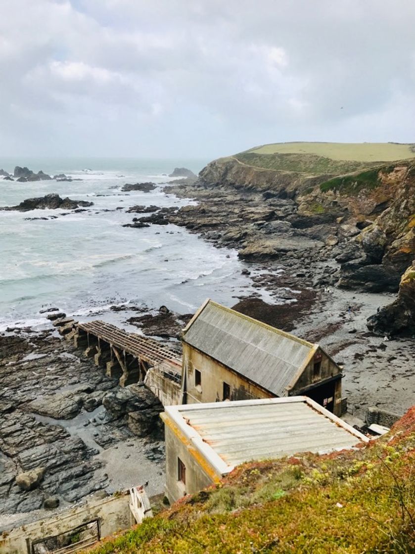 Lugares Lizard Point