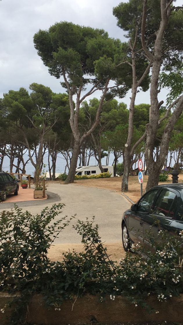 Camping Palamós 🏕 