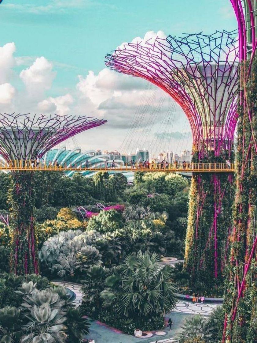 Place Singapura