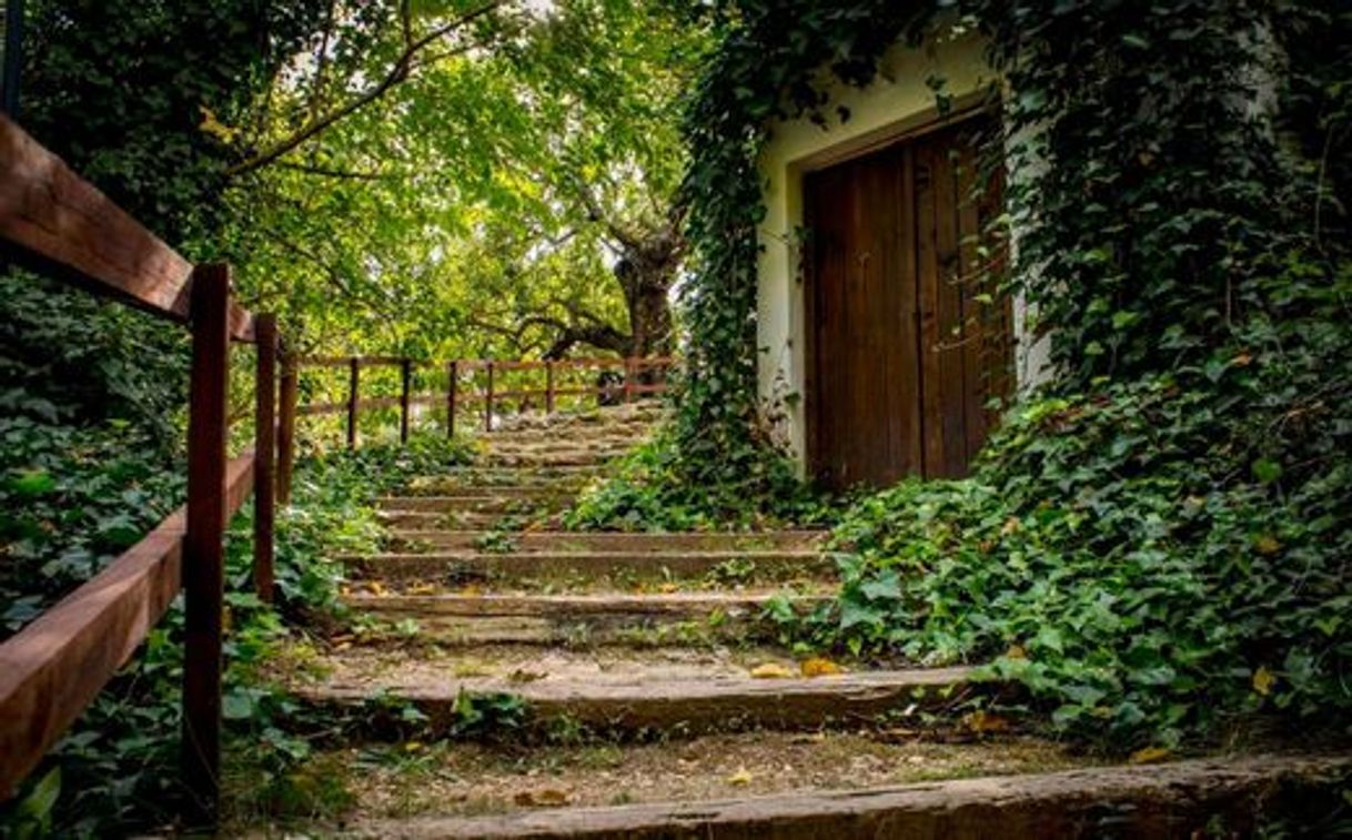 Social La preciosa Ruta de los Molinos de Alborache