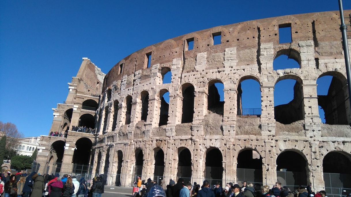 Lugar Coliseo de Roma