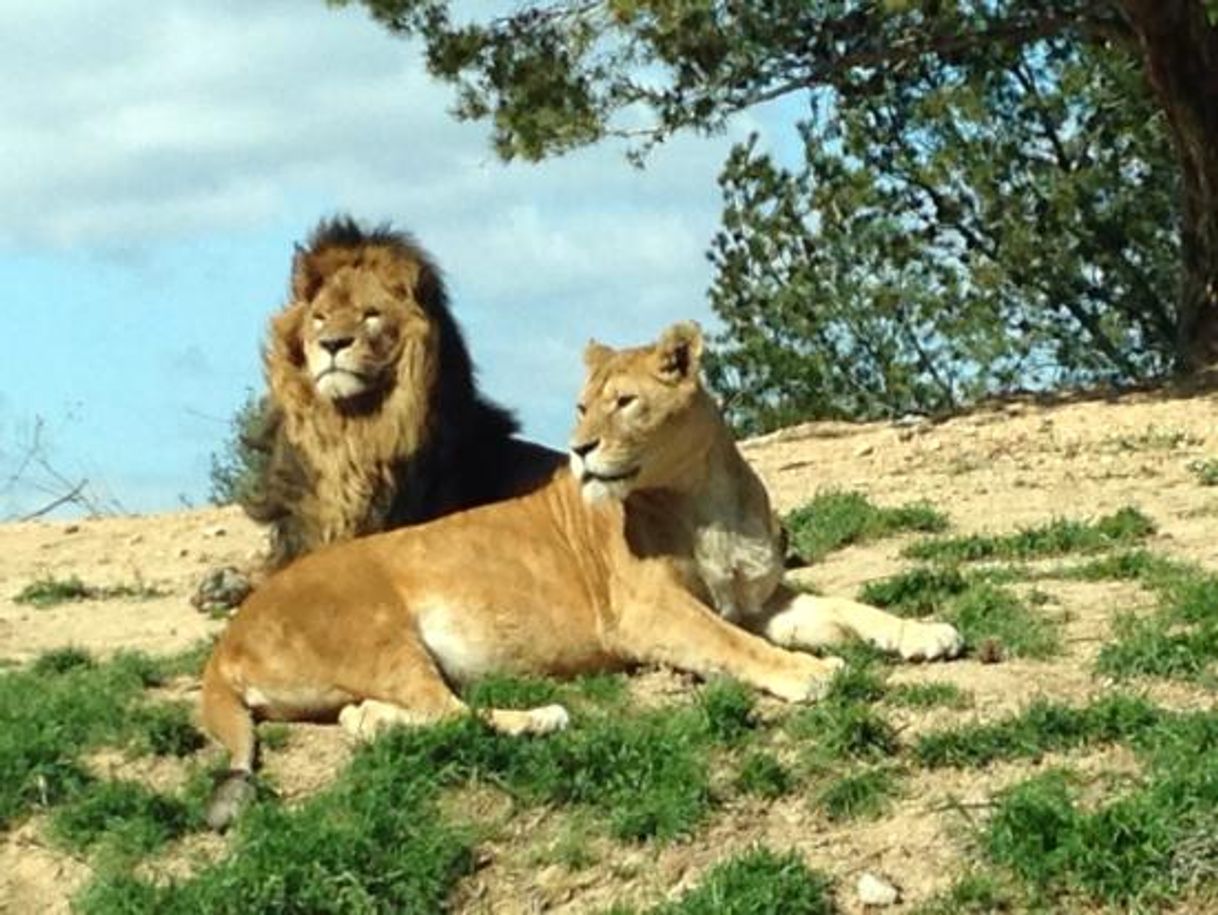 Lugar Reserva africana de Sigean