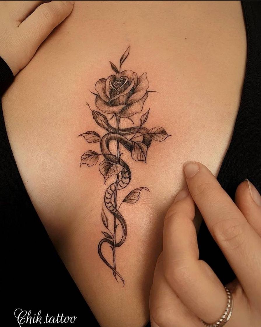 Moda Tatuagem de uma Rosa