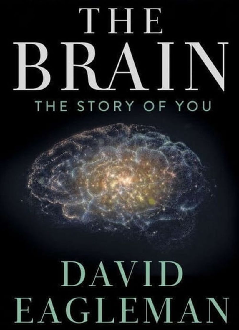Serie El cerebro con David Eagleman