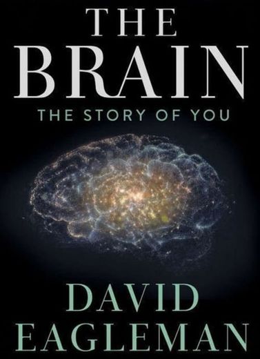 The Brain with David Eagleman