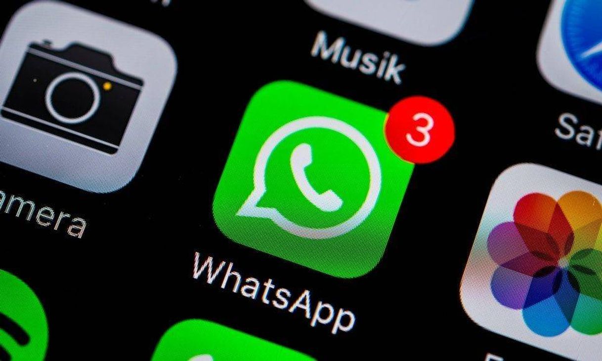 App 💚 WhatsApp 💚