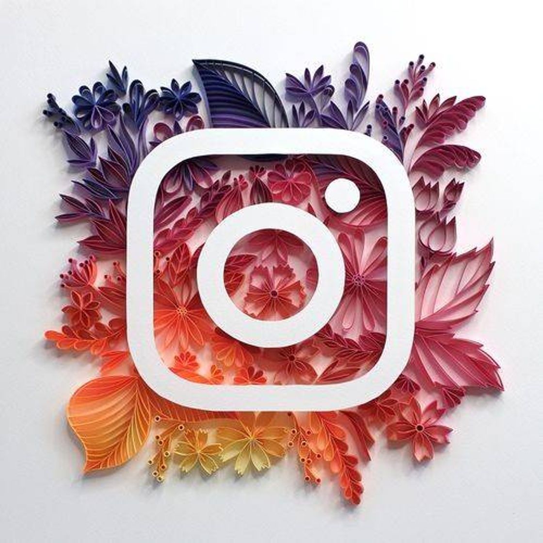 App 🔅Instagram🔅