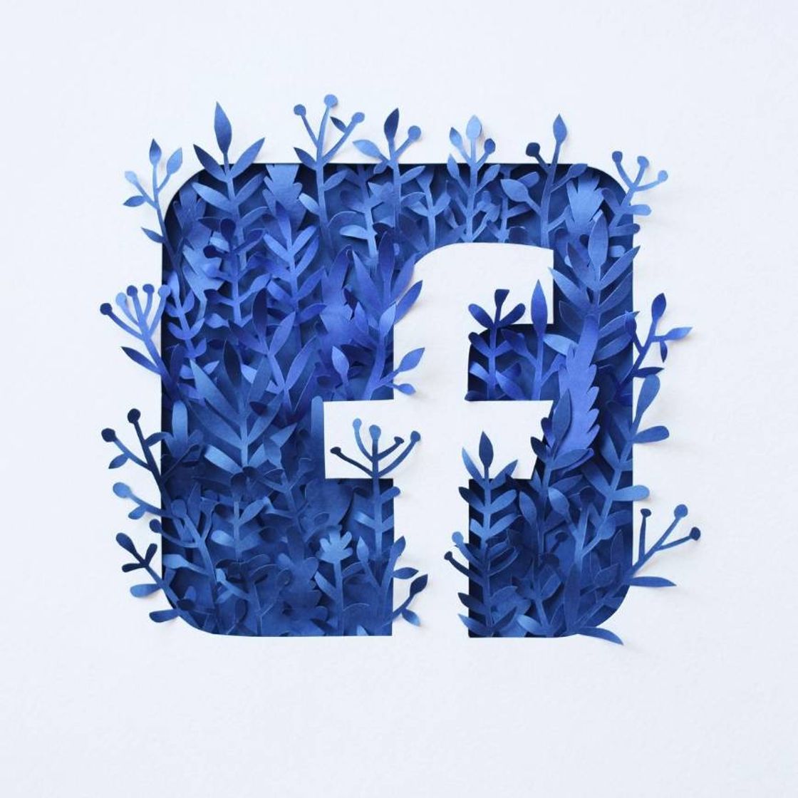 App 💙 Facebook 💙