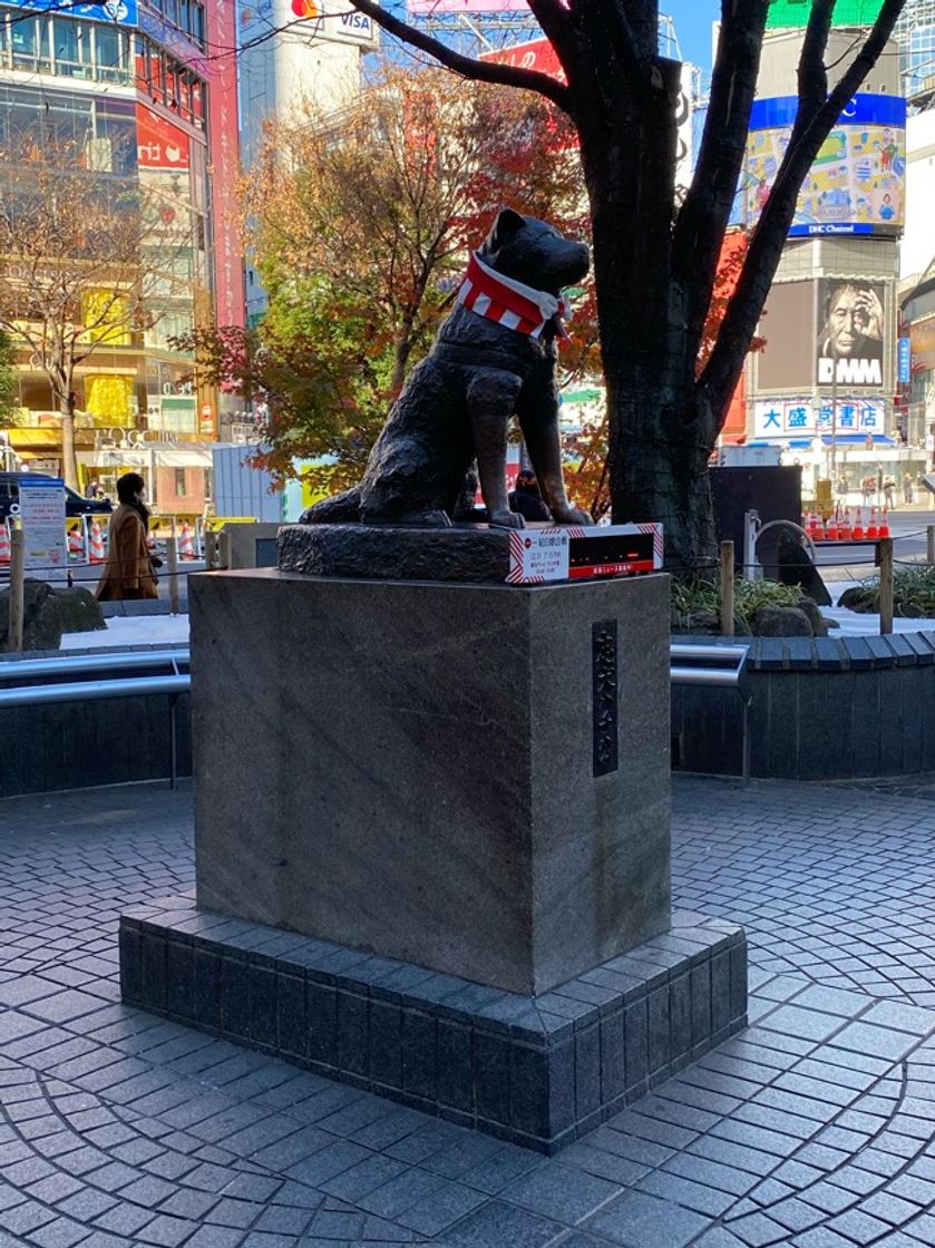 Place Hachikō