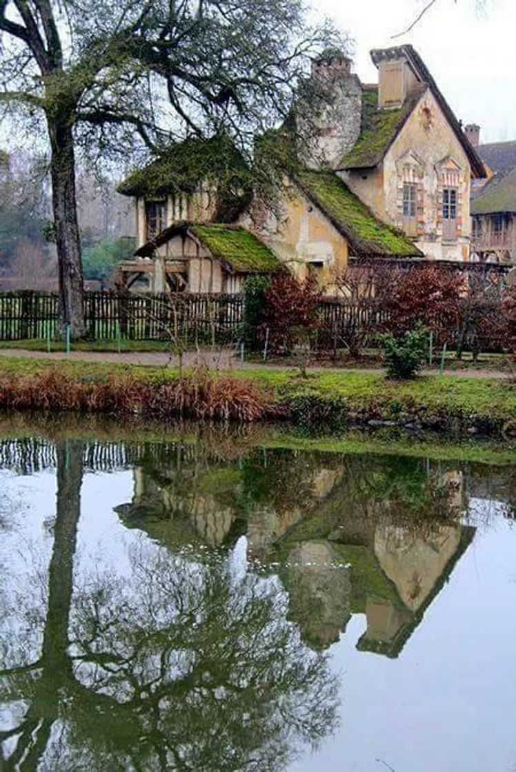 Moda Casa com vista para o lago, não tem coisa melhor