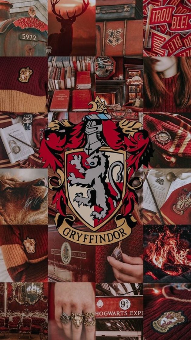 Book Harry Potter 