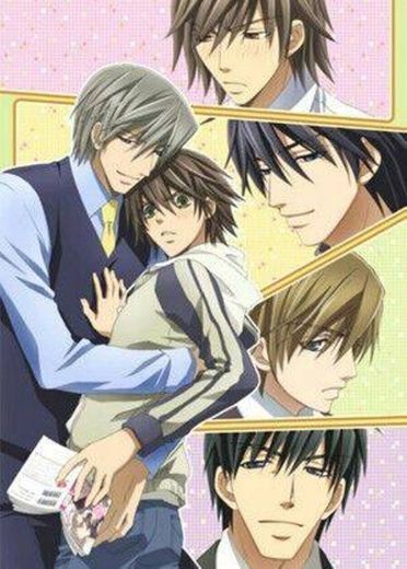 Junjou Romantica.