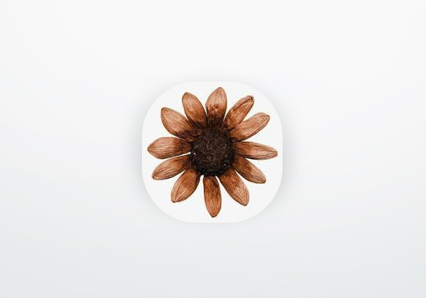 App Bipboy 