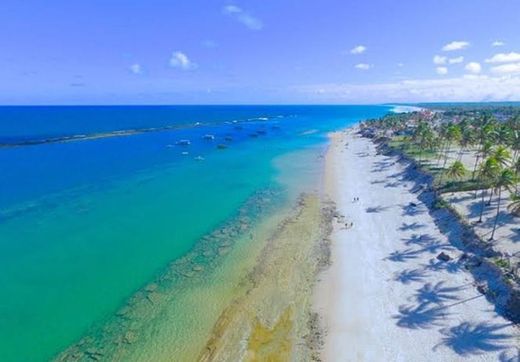 Praia do Francês