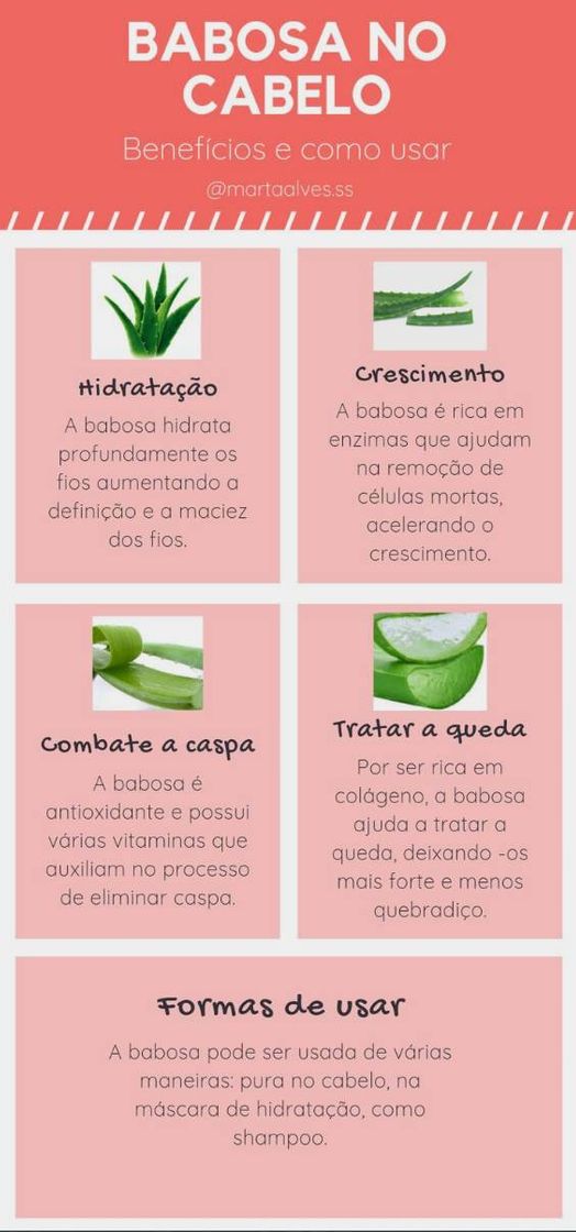 Social Babosa e seus benefícios!!!💚