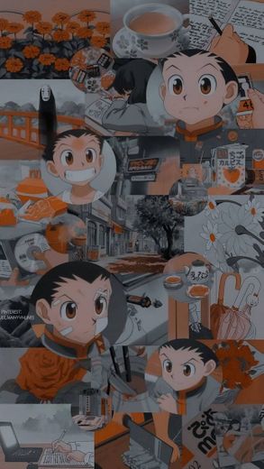 Wallpaper Hunter x hunter 🦋❤️