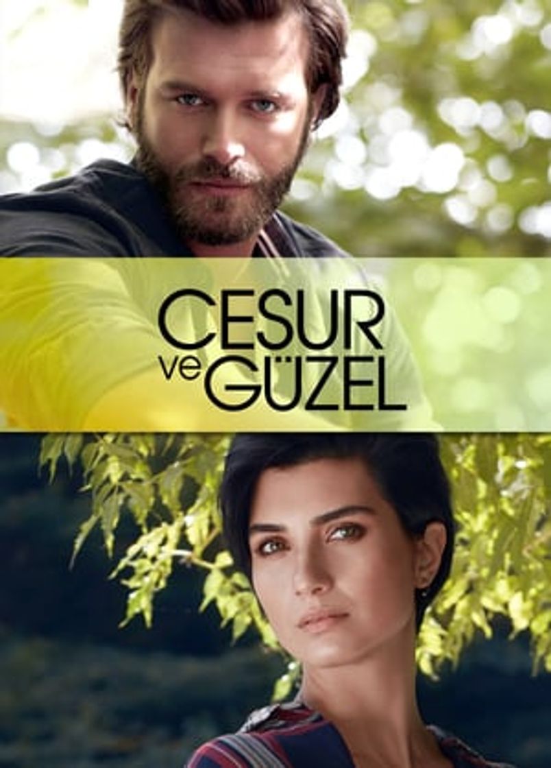 Serie Sühan: Vengaza y Amor