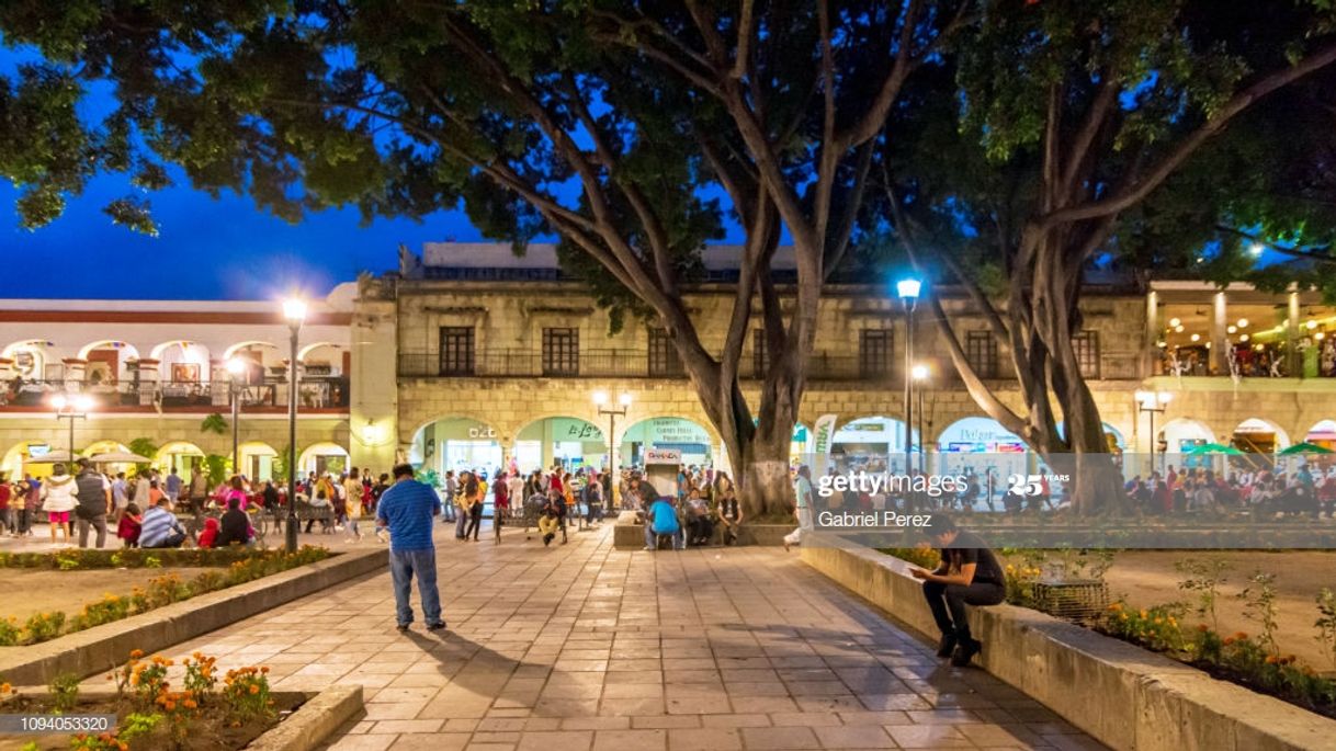 Lugar Zocalo Oaxaca