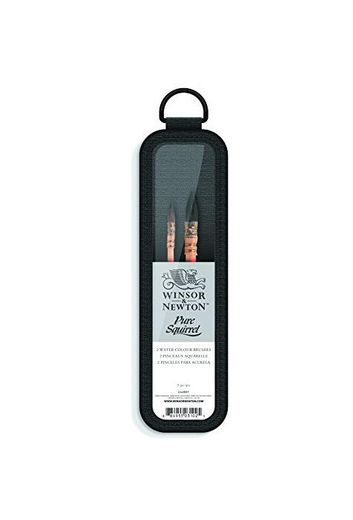 Winsor & Newton Profesional Kit de cepillo de ardilla del color de