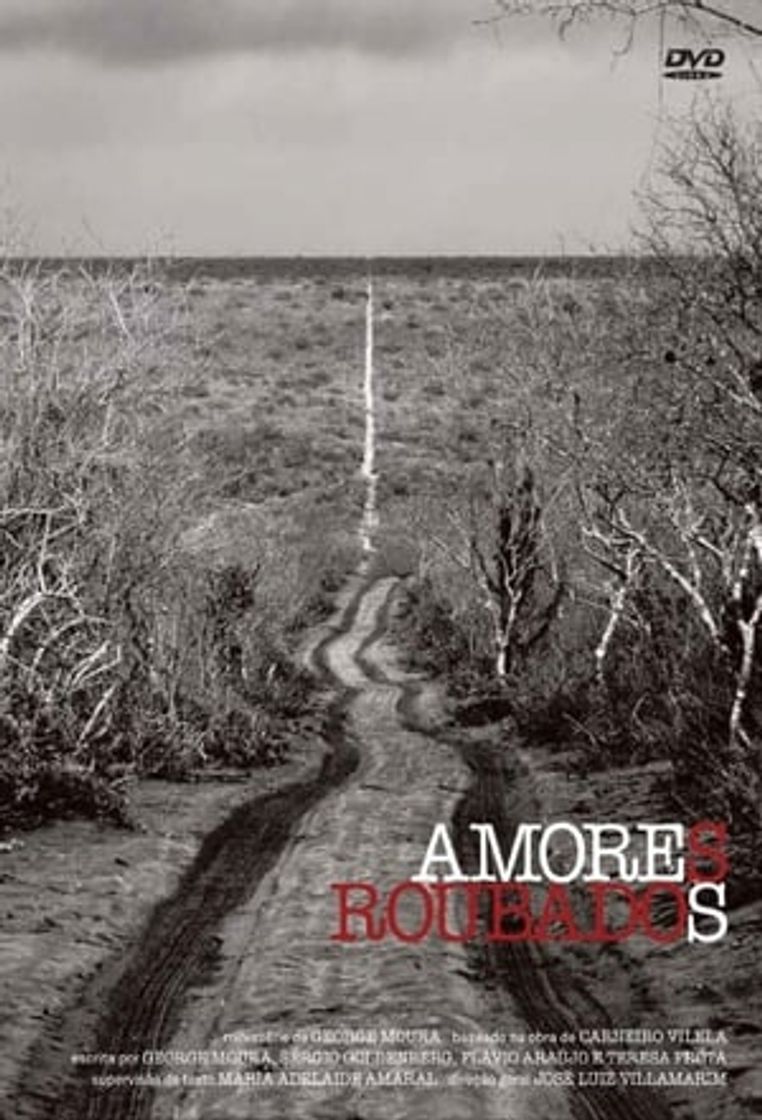 Serie Amores Roubados