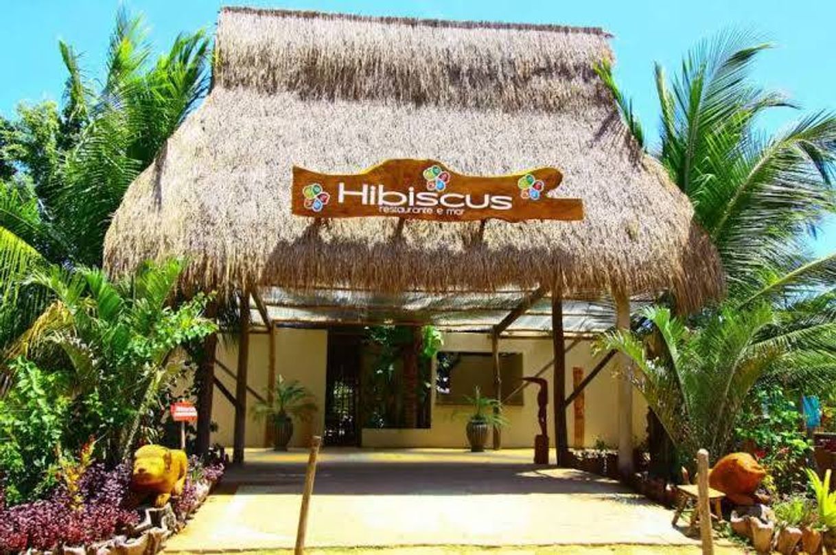 Lugar Hibiscus Beach Club | Maceió