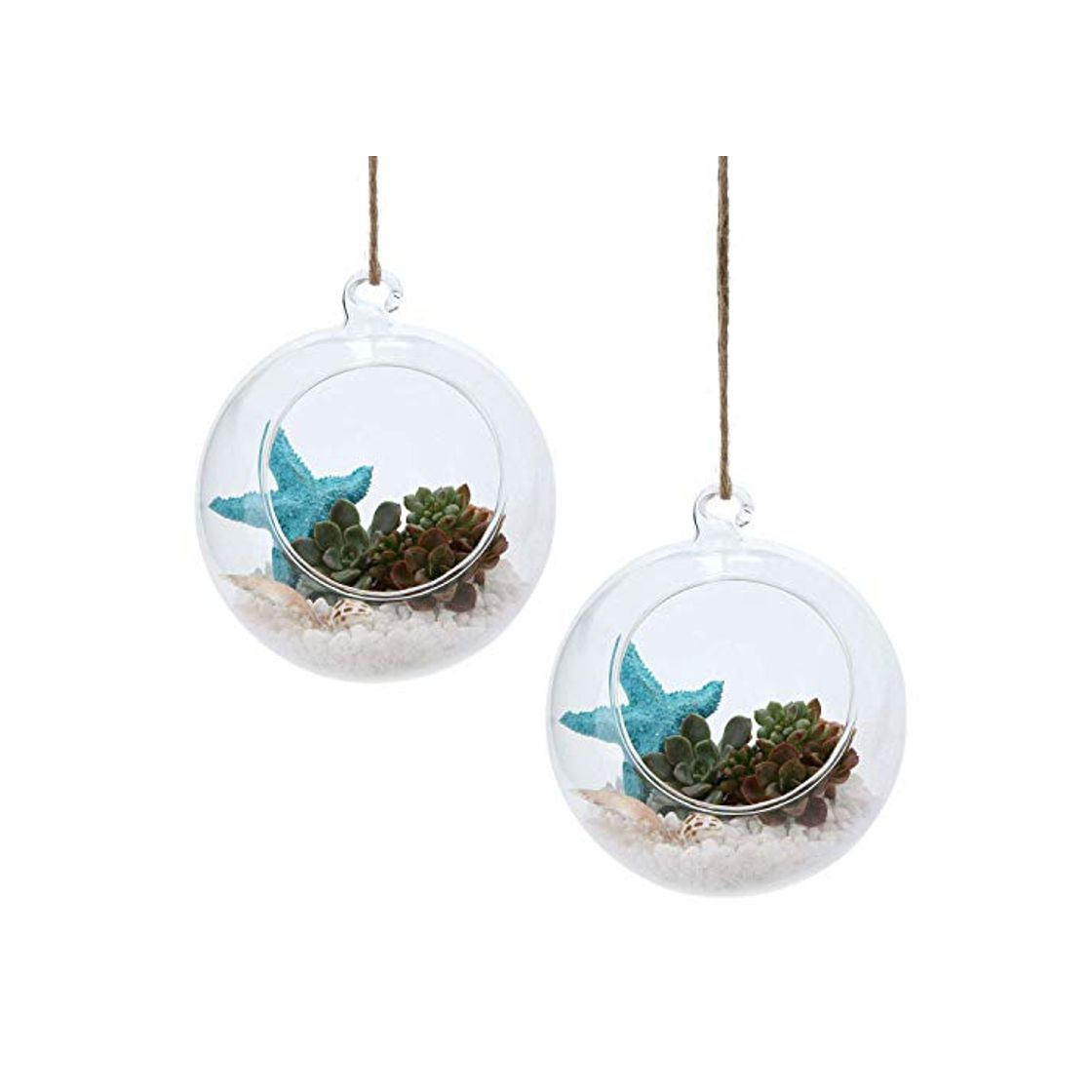 Social T4U Rachel's 10CM Vaso Colgando Planta Terrarios Flor Aire Maceta Envase Casa Oficina Decoración de Boda Votivo Sujetador Suculento Cactus Macetas Conjunto de 2