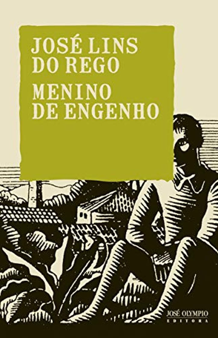 Book Menino de engenho