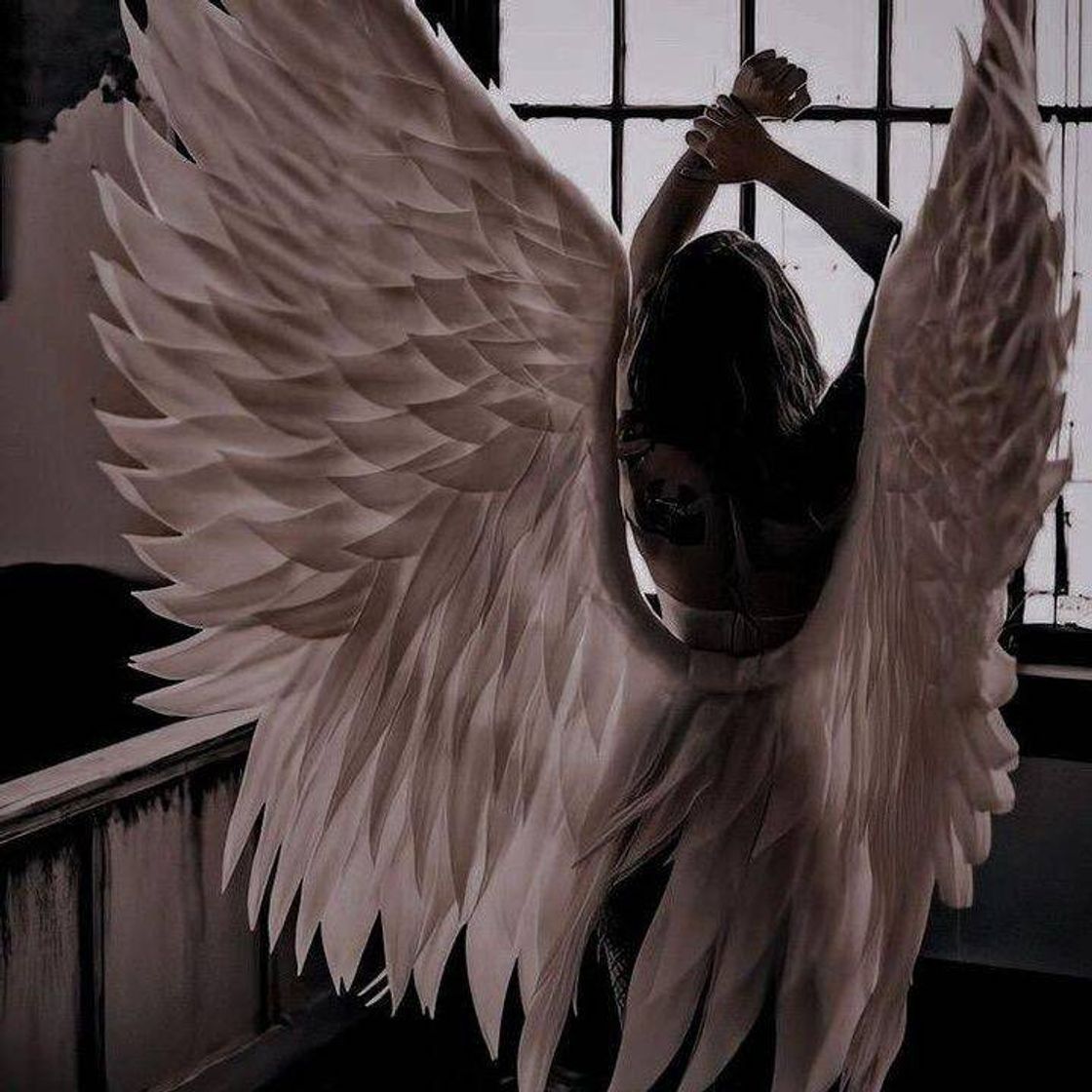 Fashion Angel Wings🤗✨