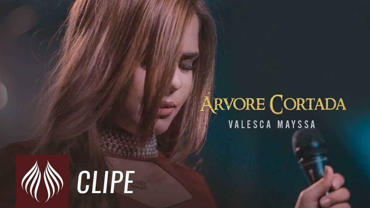 Music Valesca Mayssa | Árvore Cortada