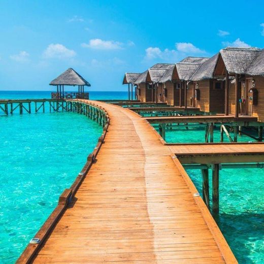 Ilha Maldivas "
