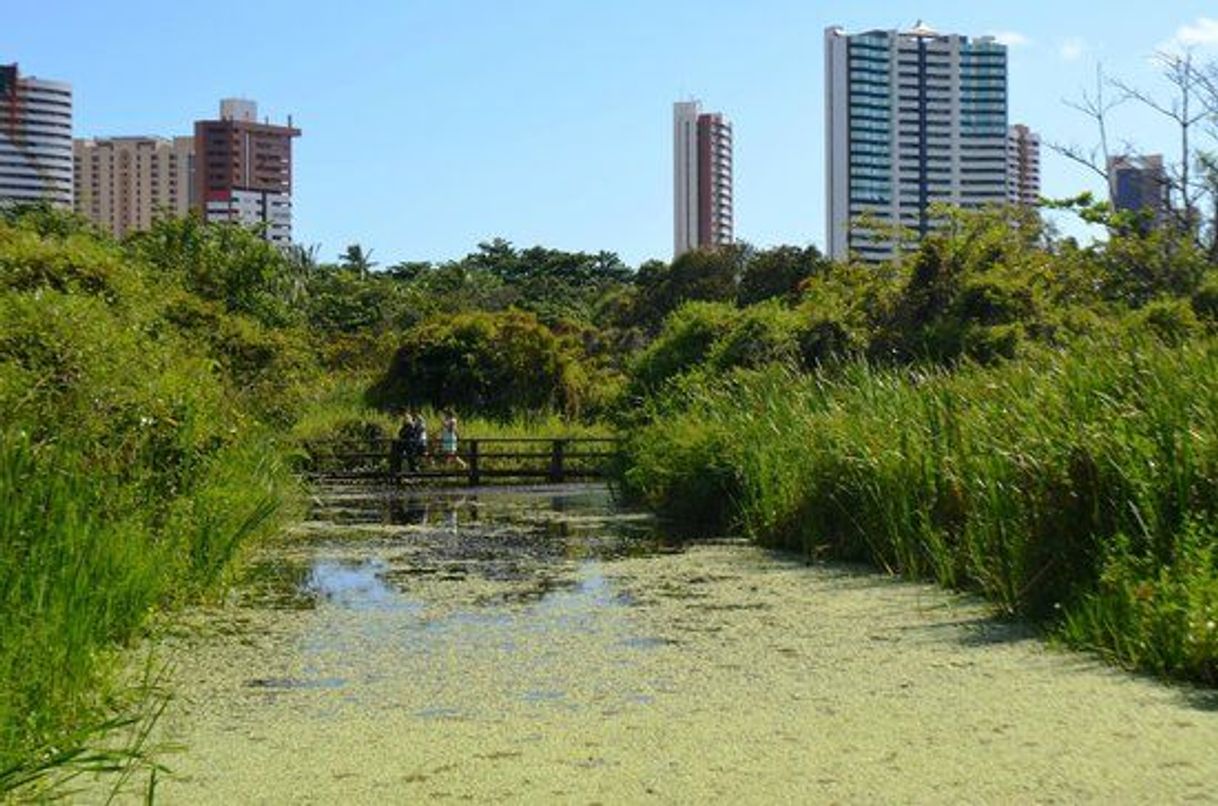 Lugar Parque Estadual do Rio Cocó